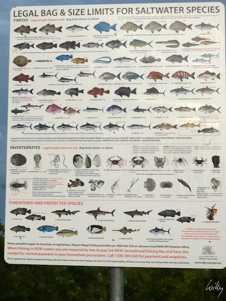 AustraliaEast 10  051